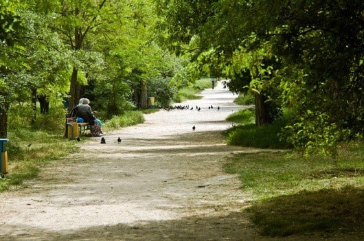 🌳 В Новороссийске уточнили правила для шести особо охраняемых природных территорий