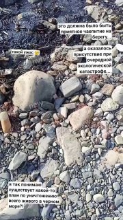 💬 Плачевная ситуация в Южной Озереевке