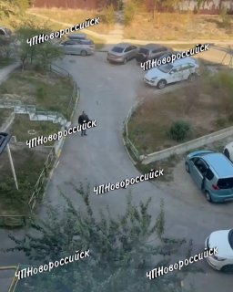 Новороссийский викинг сегодня утром снял со стены фамильный топор и пошел с ним что-то выяснять у другого мужчины.