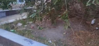 💬 Добрый день. На видео участок между домами пр. Ленина 13 и ул. Глухова 6. Чья зона ответственности? Ветки после последнего сильного ветра лежат уже недели 2...  Лица с пониженной социальной ответст...